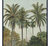 Palm Tree 70x100